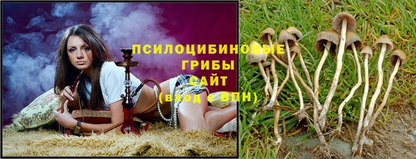 гидра Арсеньев