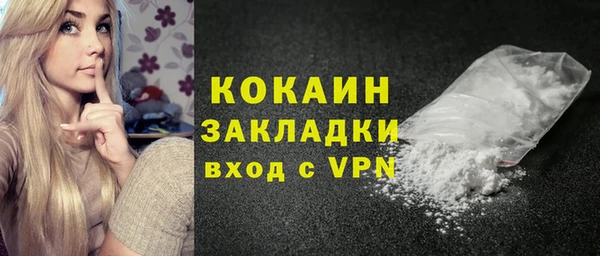 гидра Арсеньев
