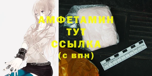 гидра Арсеньев