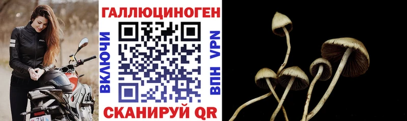 kraken маркетплейс  Сим  Галлюциногенные грибы Psilocybine cubensis 